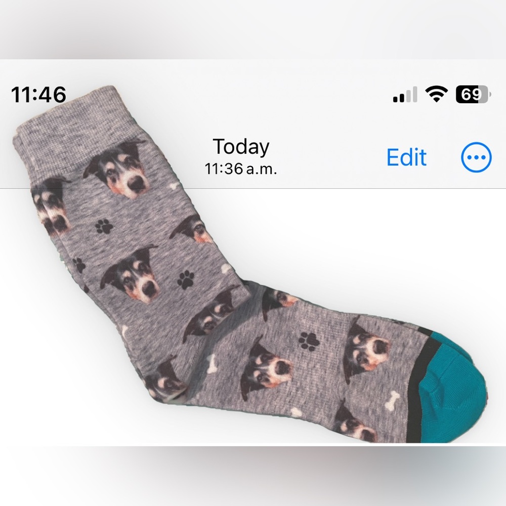 Dog Socks by DivvyUp NWOT Size L. Boxed for Christmas. Cost new $24